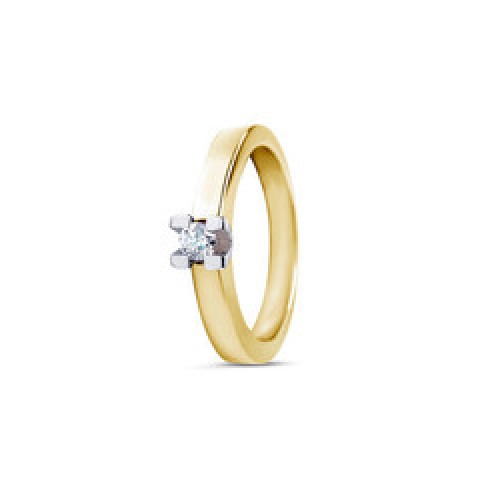 by R&C bicolor gouden ring model Roman 14 karaat met  een 0.15ct briljant geslepen diamant mt17.5 - 000047998